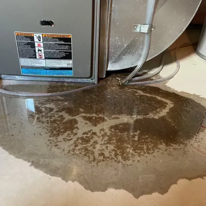 Appliance Leak Cleanup in Peoria, IL